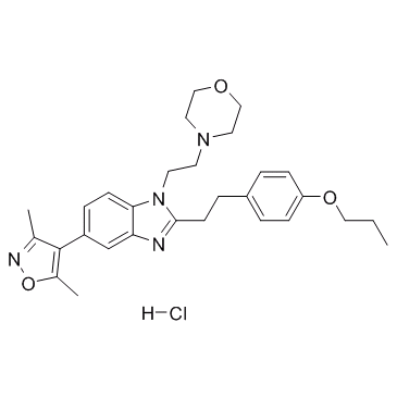 PF-CBP1鹽酸