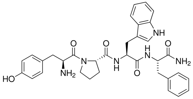 內嗎啡肽 1